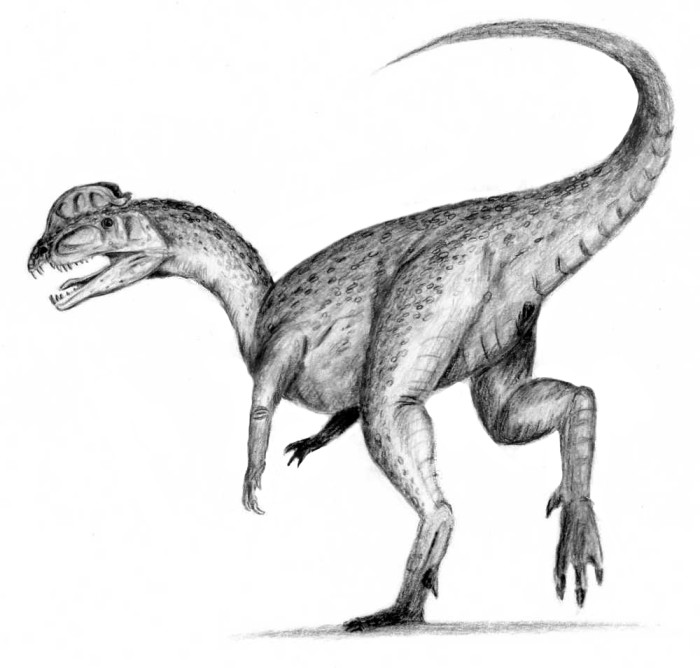 dilophosaurus facts sheets