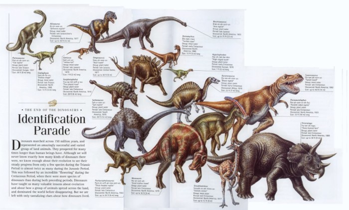 dinosaurs in the cretaceous time period