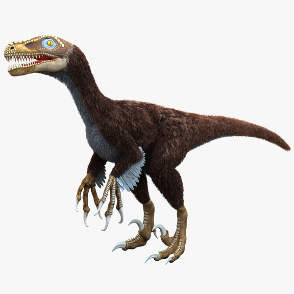 Dromaeosaurus Dinosaur Facts