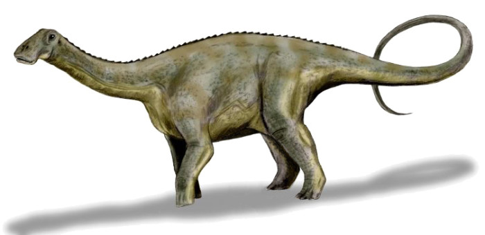 nigersaurus height