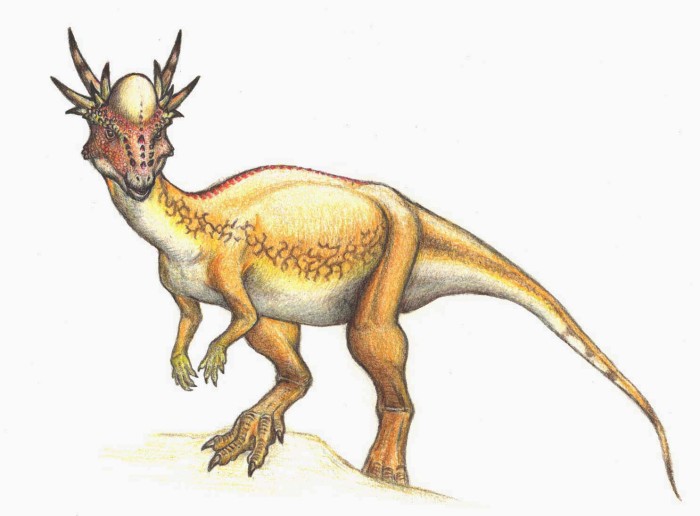 stygimoloch habitat