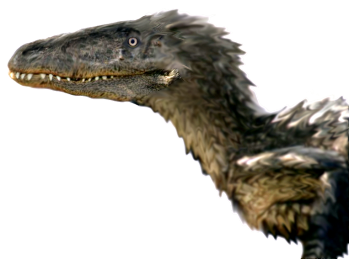 utahraptor vs t rex