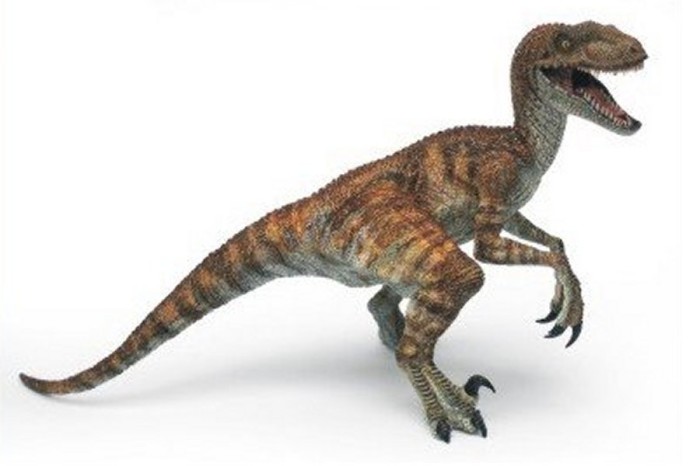 velociraptor facts and pictures