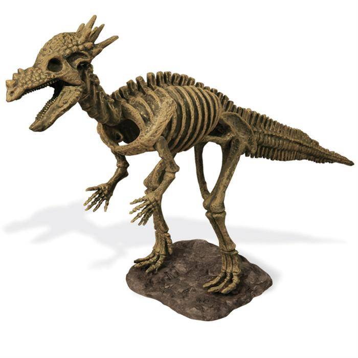 stygimoloch fossils
