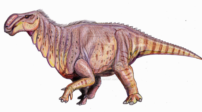 altirhinus dinosaur facts for kids