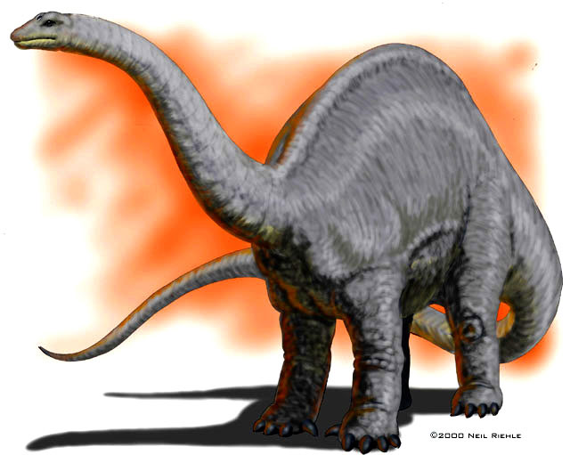 Apatosaurus Facts for Toddler