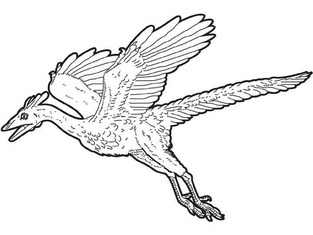 Archaeopteryx Flying Dinosaur Coloring Pages