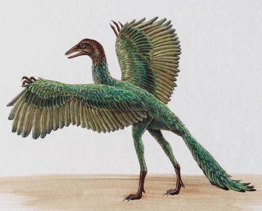 Archaeopteryx facts sheets