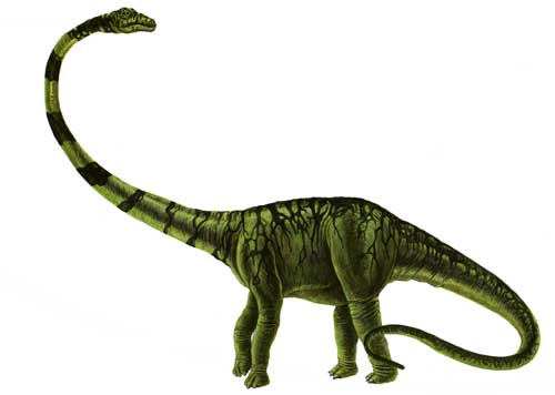 Barosaurus Facts for Kids