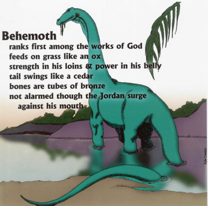 dinosaur bible study