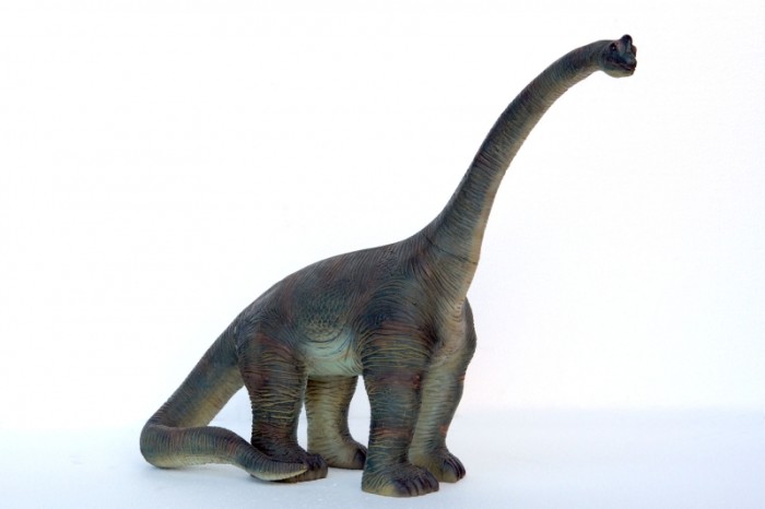 Brachiosaurus Facts for Kids