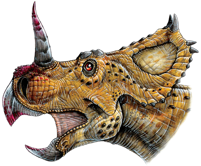 Centrosaurus Dinosaur Facts