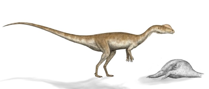 dilophosaurus habitat and size