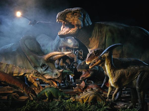 dinosaurs living in the cretaceous period