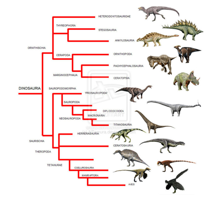 different species of dinosaurs