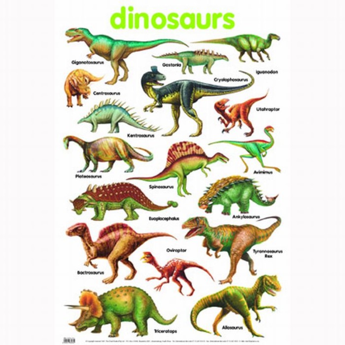 DINOSAURS names with pictures