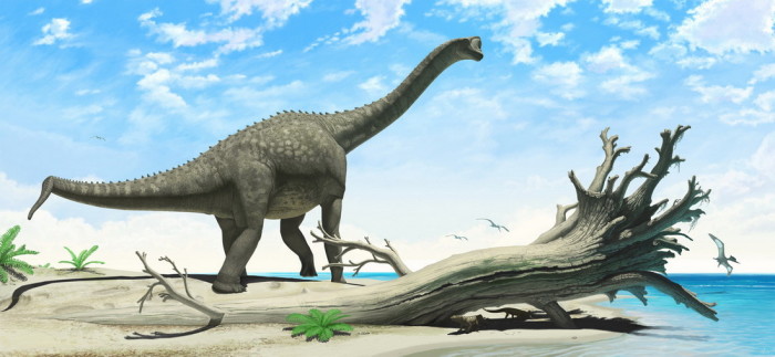 europasaurus height
