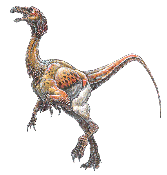 falcarius utahensis dinosaur facts