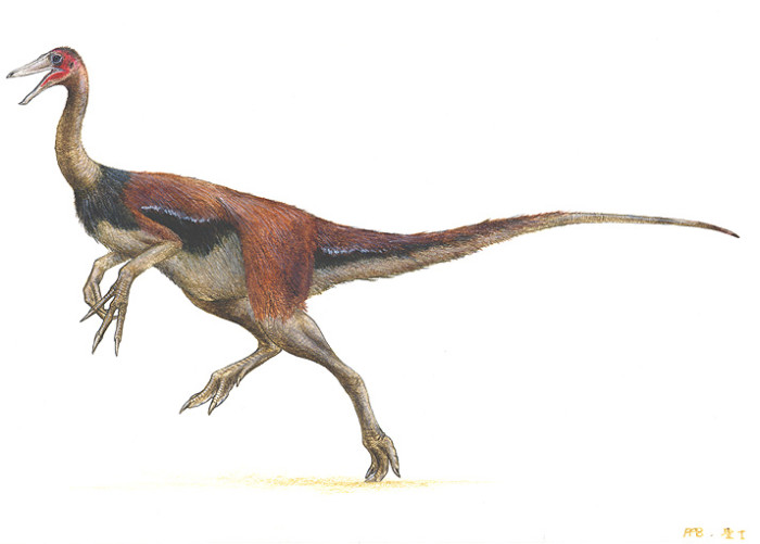 gallimimus dinosaur facts