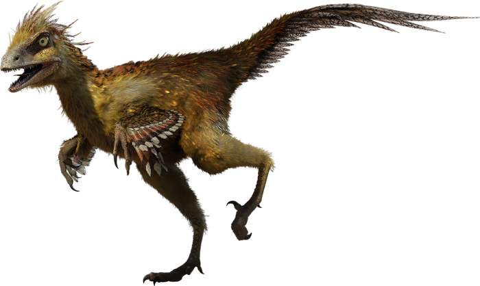 Hesperonychus facts for kids