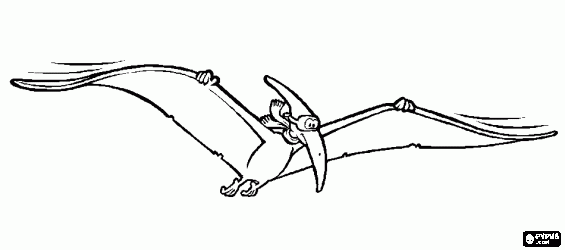 Pterodactyl flying coloring pages