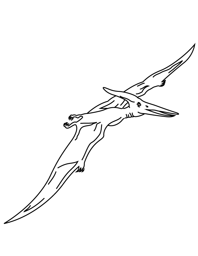 Pterodactyl Flying Dinosaur Coloring Page