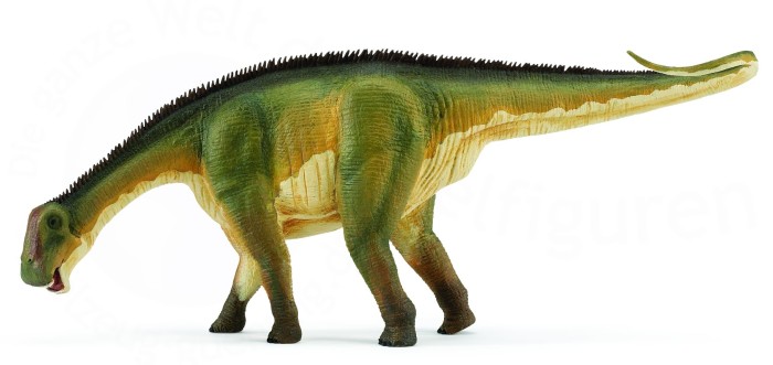 nigersaurus skeleton