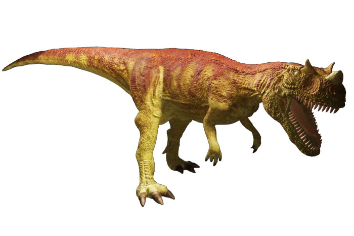 Ceratosaurus facts for kids