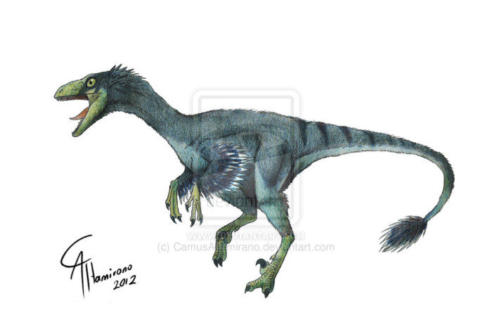 troodon formosus facts