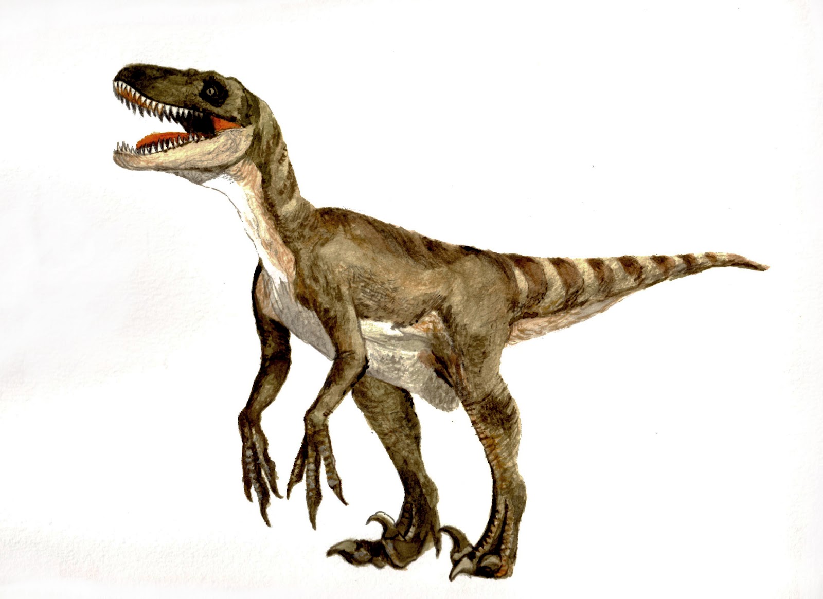 velociraptor2
