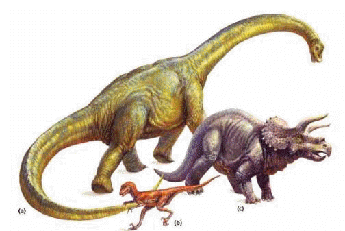 mesozoic era dinosaurs timeline