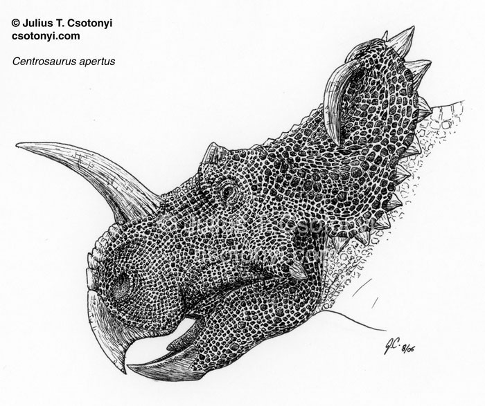 Centrosaurus head - Coloring Pages for Kids