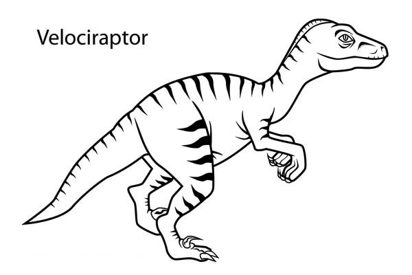 Velociraptor from Cretaceous Period in Dinosaur Coloring Page