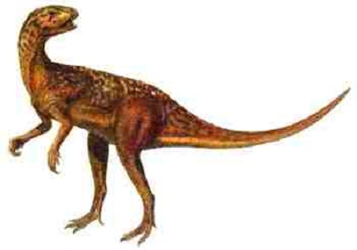 Agrosaurus Dinosaur