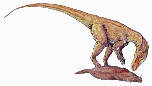 Alwalkeria Dinosaur Wikipedia