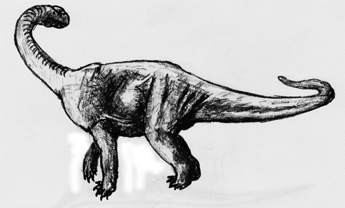 Antetonitrus Dinosaur