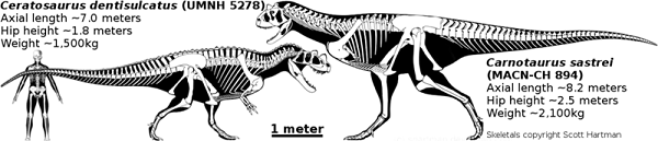 Carnotaurus vs Ceratosaurus sheet