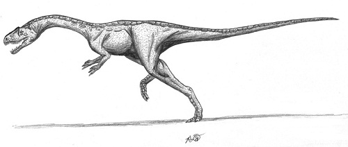 Chindesaurus Height