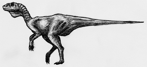 Chindesaurus Wikipedia