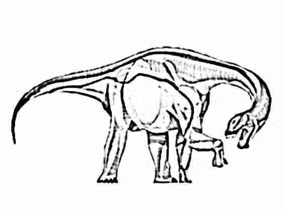  Free Dinosaur Camarasaurus coloring page