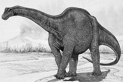 Haplocanthosaurus Facts for Kids