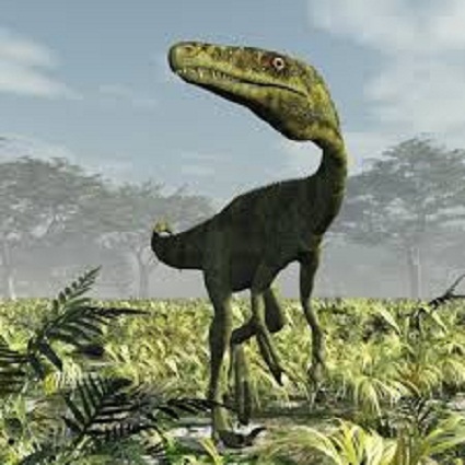 Juravenator Dinosaurs Facts