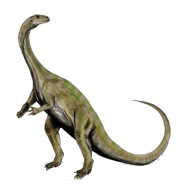 Massospondylus Dinosaur