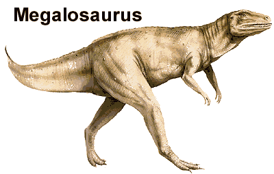 Megalosaurus Fact