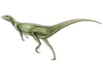 Nanosaurus Fact
