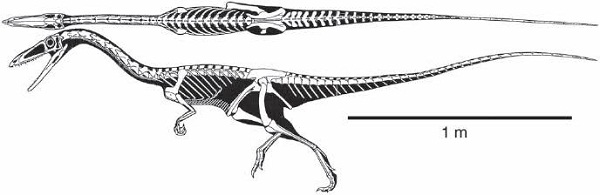 Segisaurus habittat