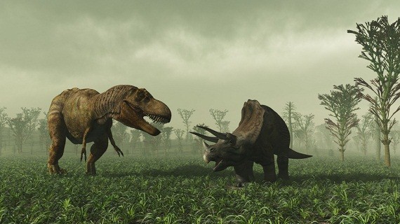 T-Rex vs Triceratops who would win