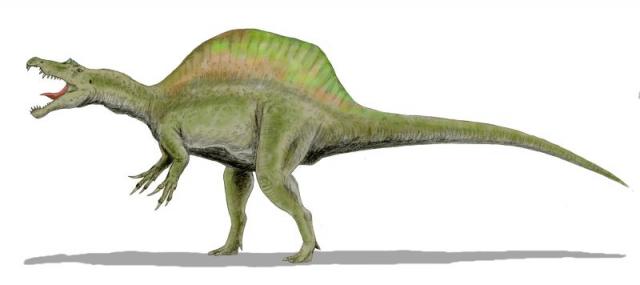 T-Rex vs Velociraptor Fact