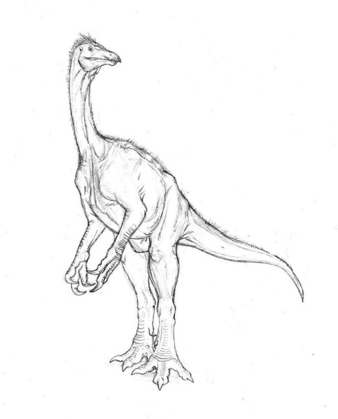 Download utahraptor coloring page | Dinosaurs Pictures and Facts