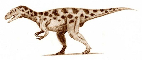 Torvosaurus Height